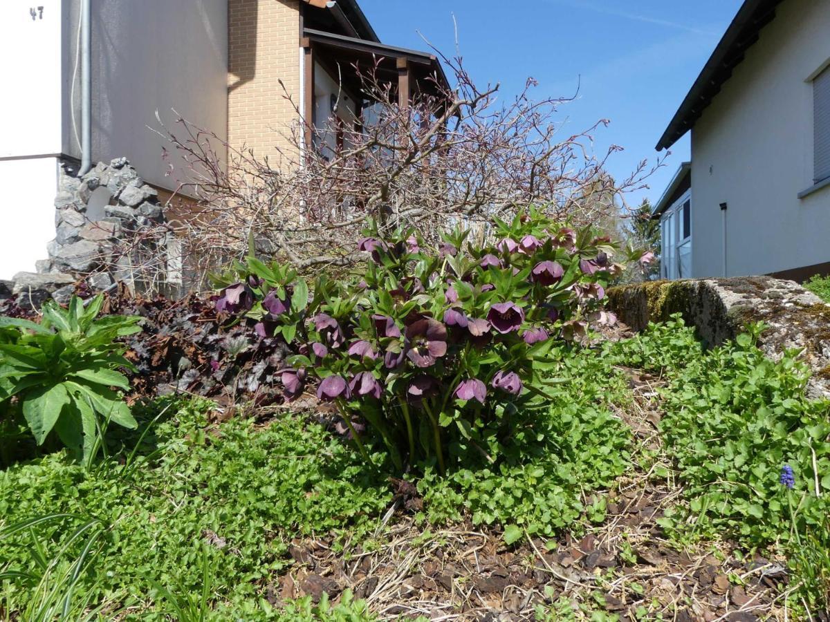 Ferienwohnung Schanbacher Oberzent Kültér fotó